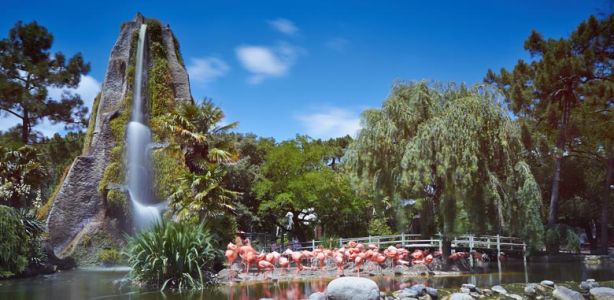 Zoo de la Palmyre
