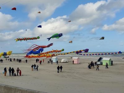 Rendez-vous aux Rencontres Internationales de Cerfs-Volants