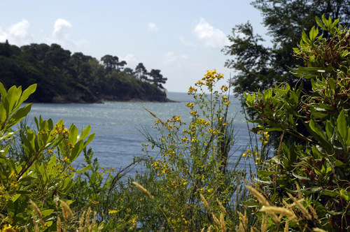 camping bord de lac